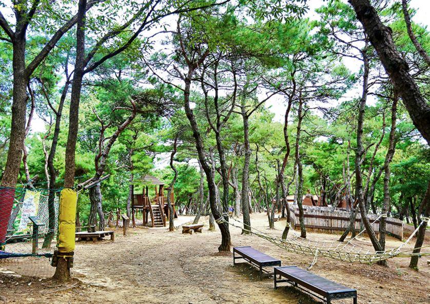 삼성현유아숲체험원 활동시설